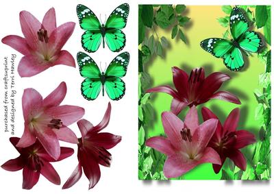 Pink Lilies on Green Background