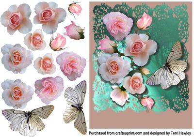Many Reasons Roses