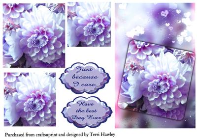 Because I Care Dahlia Blue