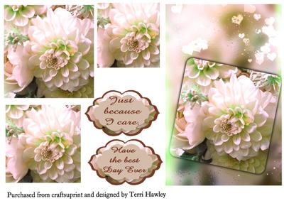 Because I Care Dahlia Cream