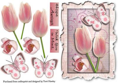 Pink Tulips and Butterflies
