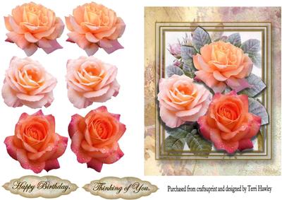Thinking of You Roses