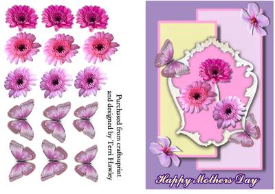 Mothers Day Daisies