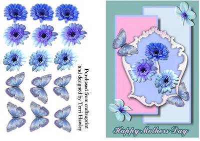 Mothers Day Daisies