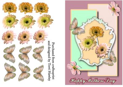Mothers Day Daisies