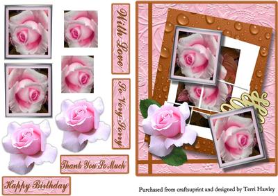 Pink Rose Greetings