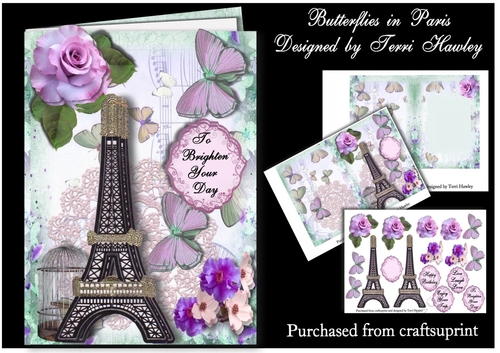 butterflies in paris