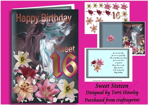 sweet sixteen