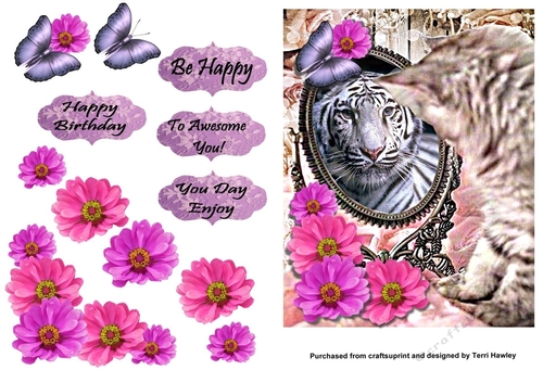 tiger and pussycat
