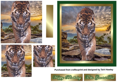  love of tigers