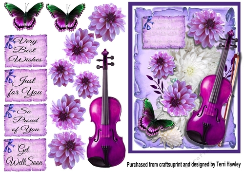 proud of you violin 