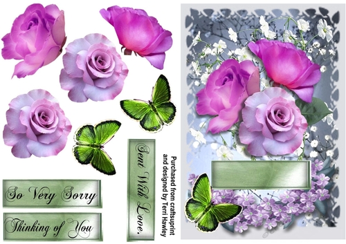 so very sorry roses