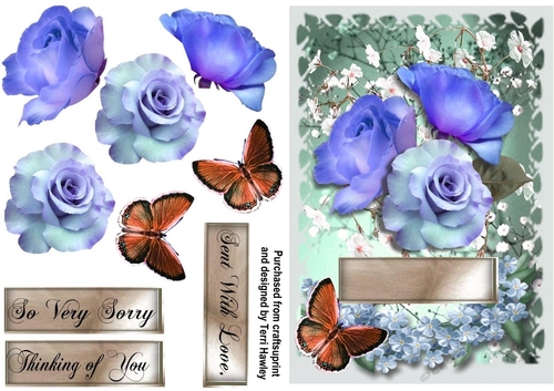 so very sorry roses blue