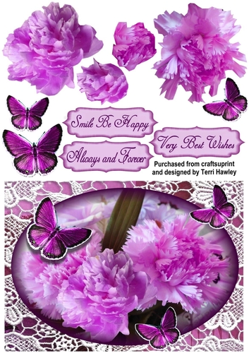 smile be happy carnations purple.