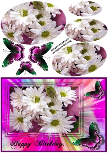 white daisies birthday wishes