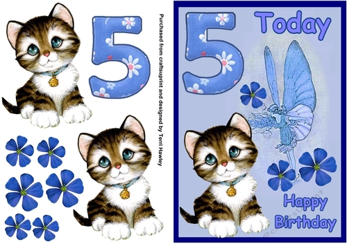 5 today pussy