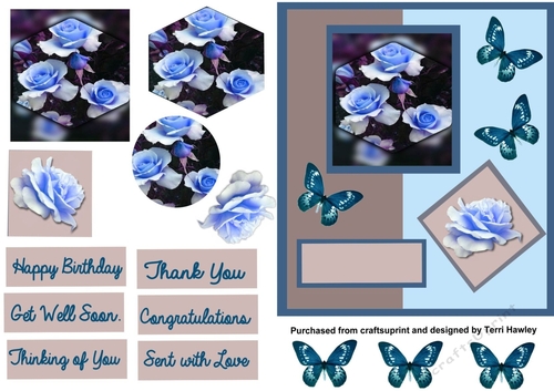 rose and butterflies blue