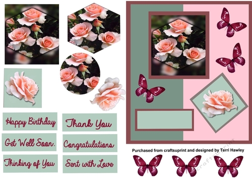 rose and butterflies pink
