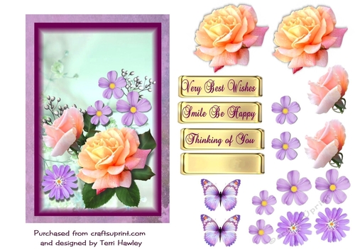 roses and daisies