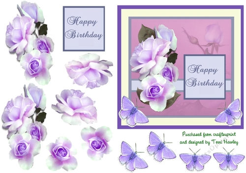 birthday rose purple