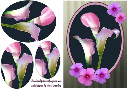 pink lilies