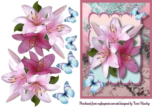 pink lilies