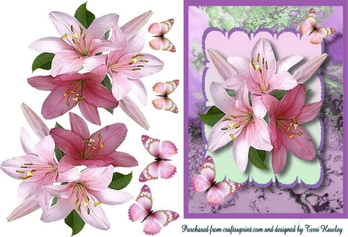 purple lilies