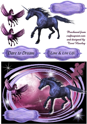 dare to dream