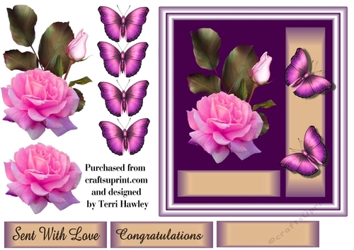 pink rose congratulations.