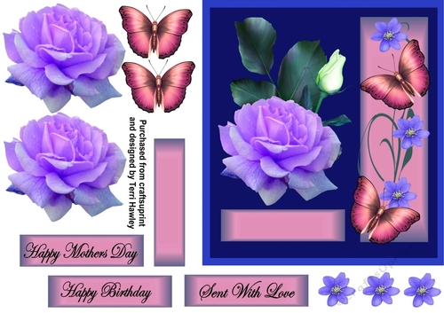 a rose for mother blue and pink