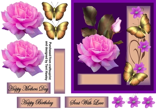 a rose for mother pink and purple
