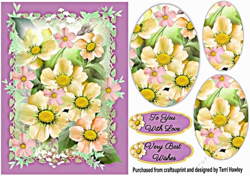 daisies with love