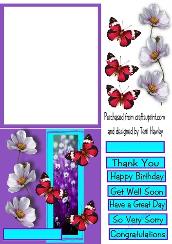 many greetings with cosmos and butterflies