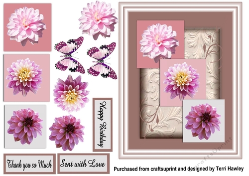pink dahlia greetings