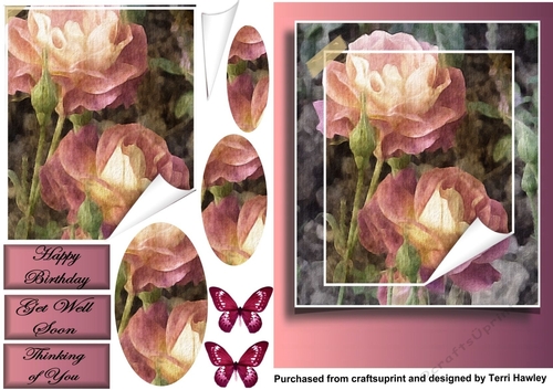 old roses with butterfies
