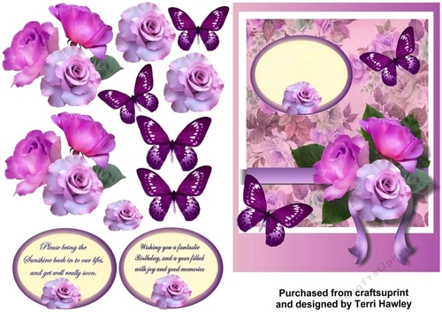 beautiful lilac roses