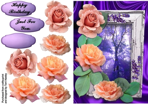 just for you orange roses