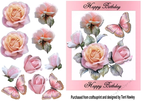pink birthday roses
