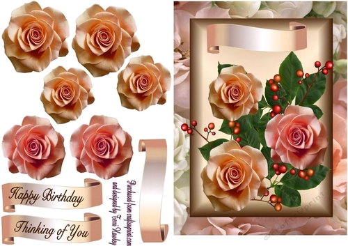beautiful roses