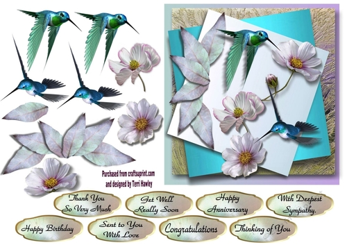 Humming Birds