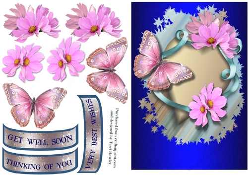 butterflies and daisies