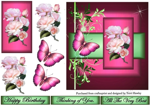 beautiful rose greetings pink