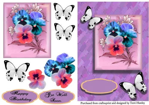 pancy delight purple