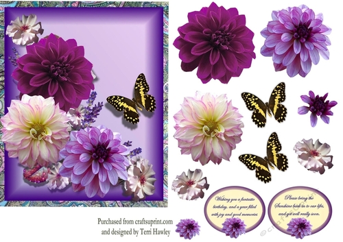 Dahlia greetings purple