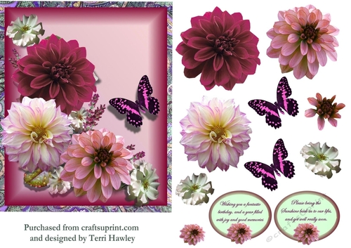 Dahlia greetings pink