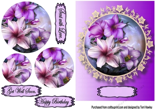 liliy greetings lilac