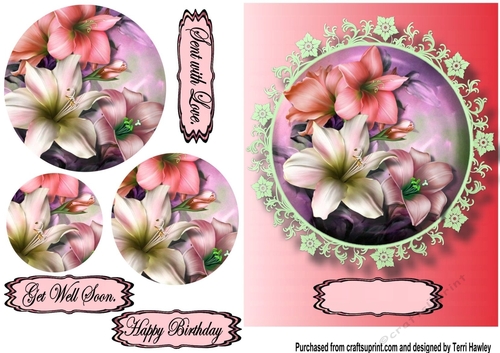 lily greetings pink