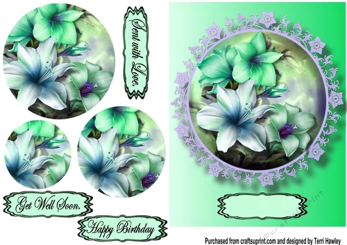 lily greetings turquoise