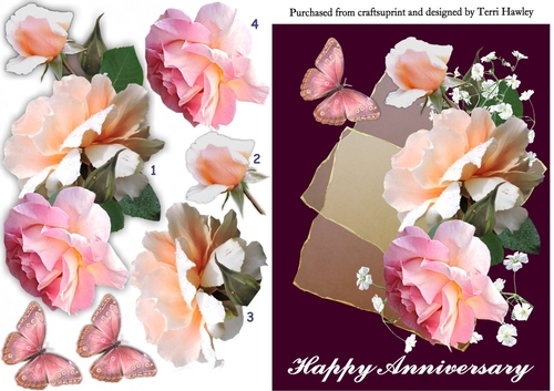 roses anniversary