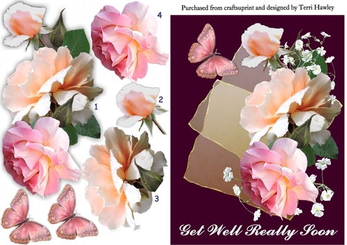 roses get well